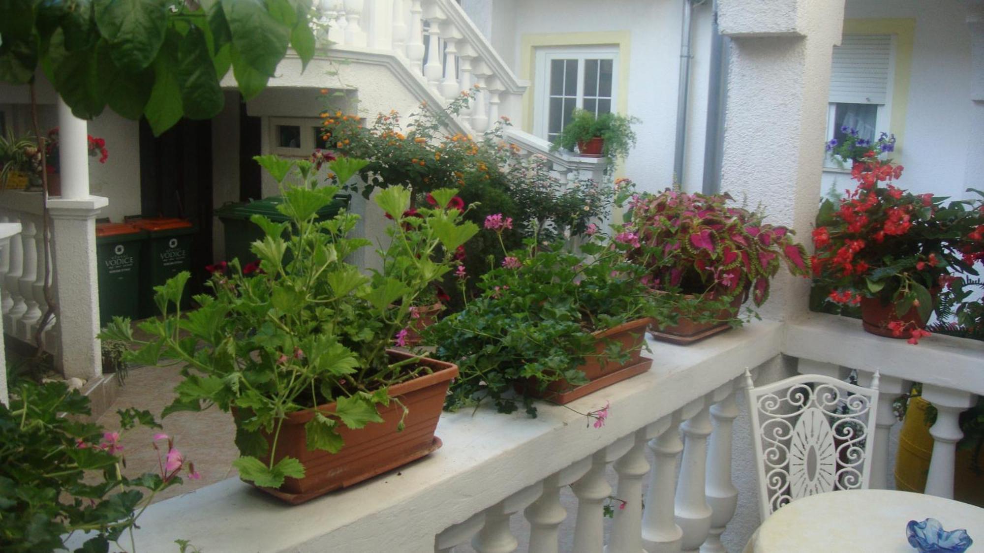 Apartments Vodice Marica Chambre photo